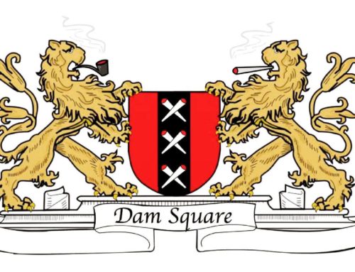 Dam Square Club Review