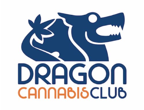 Reseña de Dragon Cannabis Club