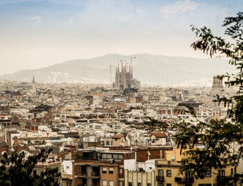 Meilleures souches de la CBD à Barcelone | Cannabis Barcelona