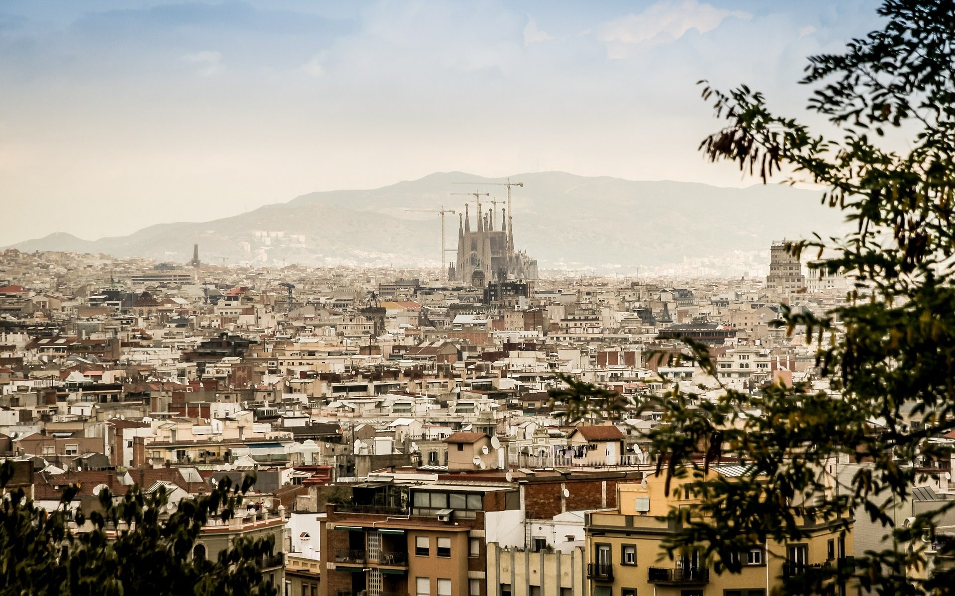 Panorama view of sagrada familia