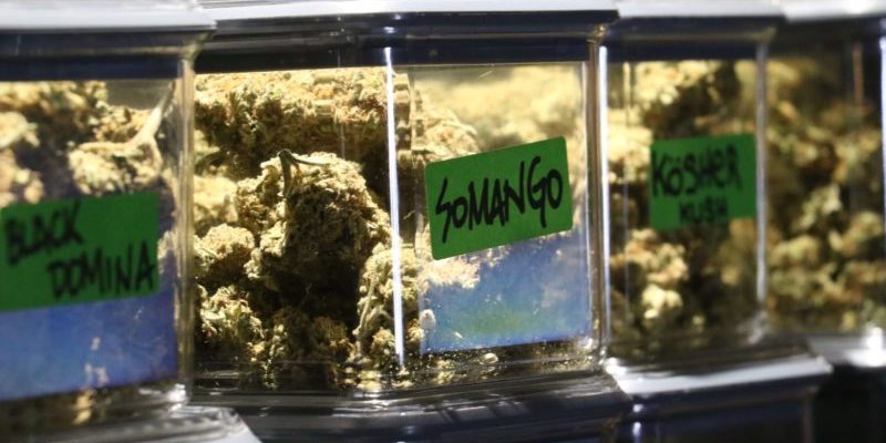 Is Cannabis Legal In Barcelona_ Foto 1 Cannabis Club Barcelona