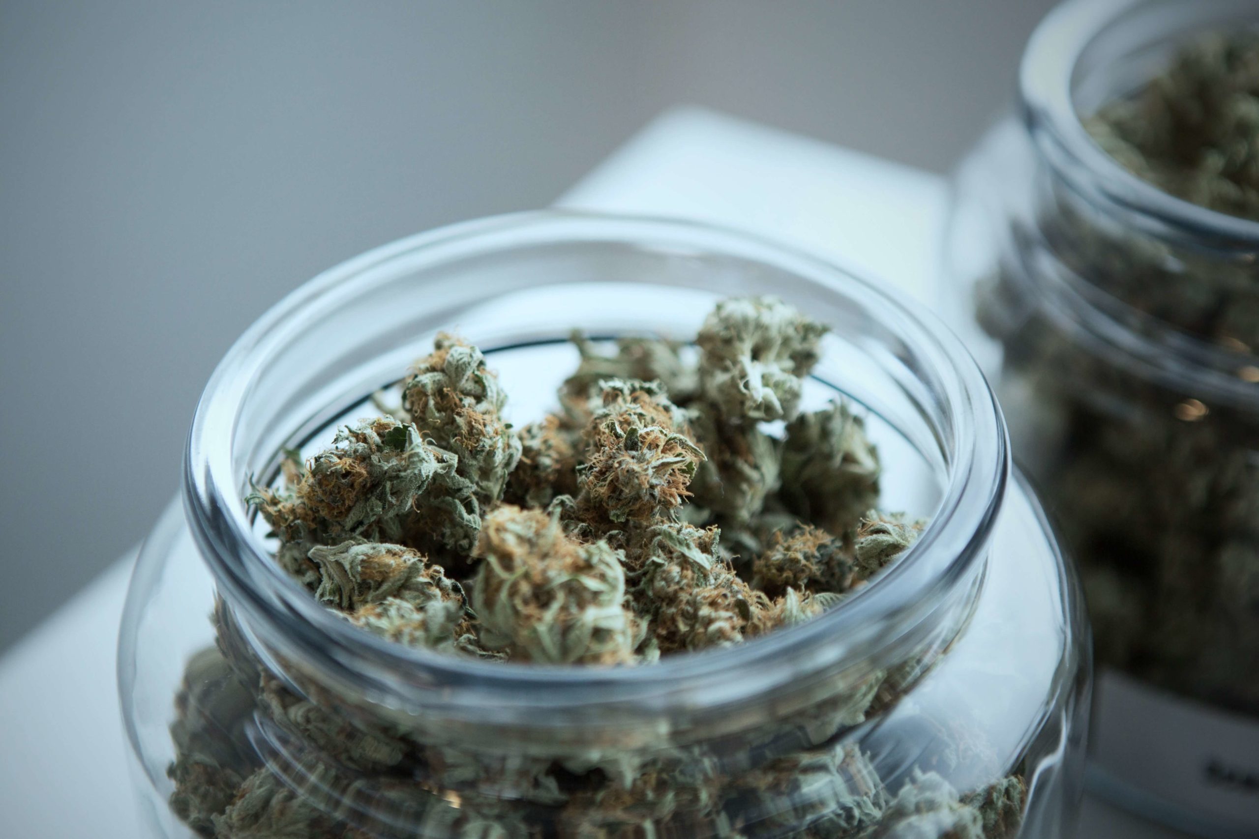 weedbud