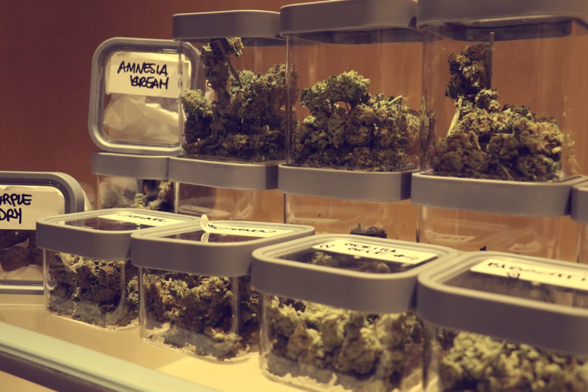 Tourists and Cannabis in Barcelona Cannabis Barcelona