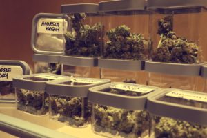 Marijuana Nuggets Marijuana Strains in jars