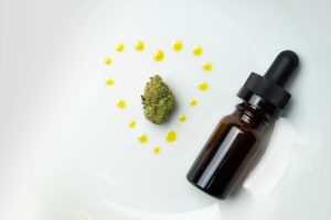 Cannabis Nug with CBD Oil Cannabis Bud and CBD Oil Vial