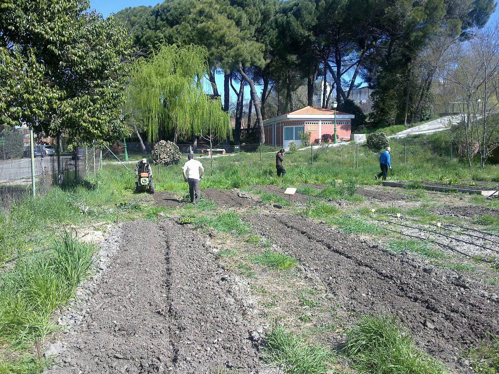 Garden Space Space for Cannabis Crop