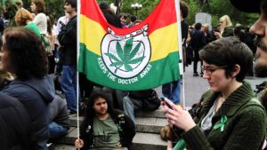 Legalize Cannabis Marijuana Activist Legalize Movement