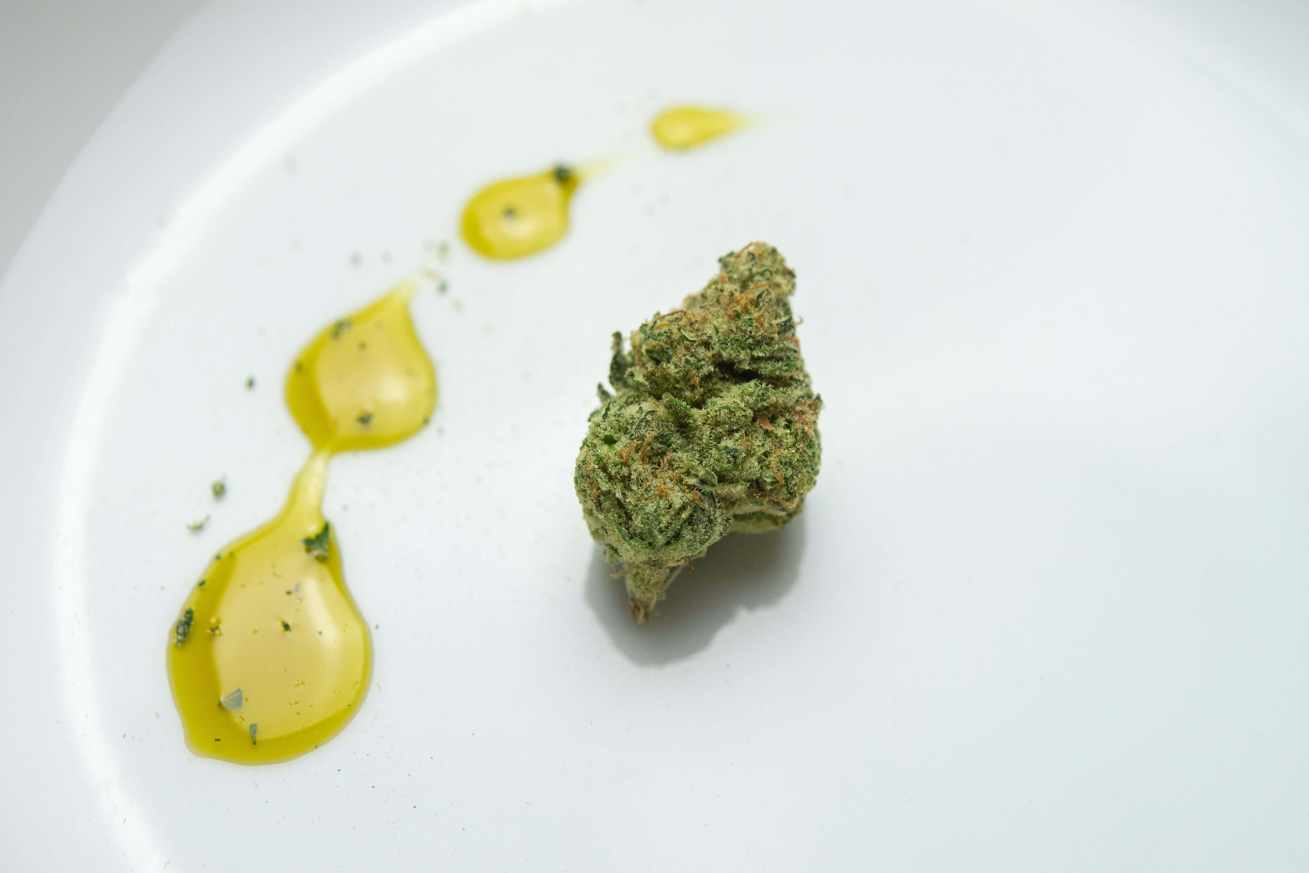 Marijuana Bud with CBD Oil