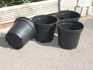 Plants Pots Pot for cannabis plant