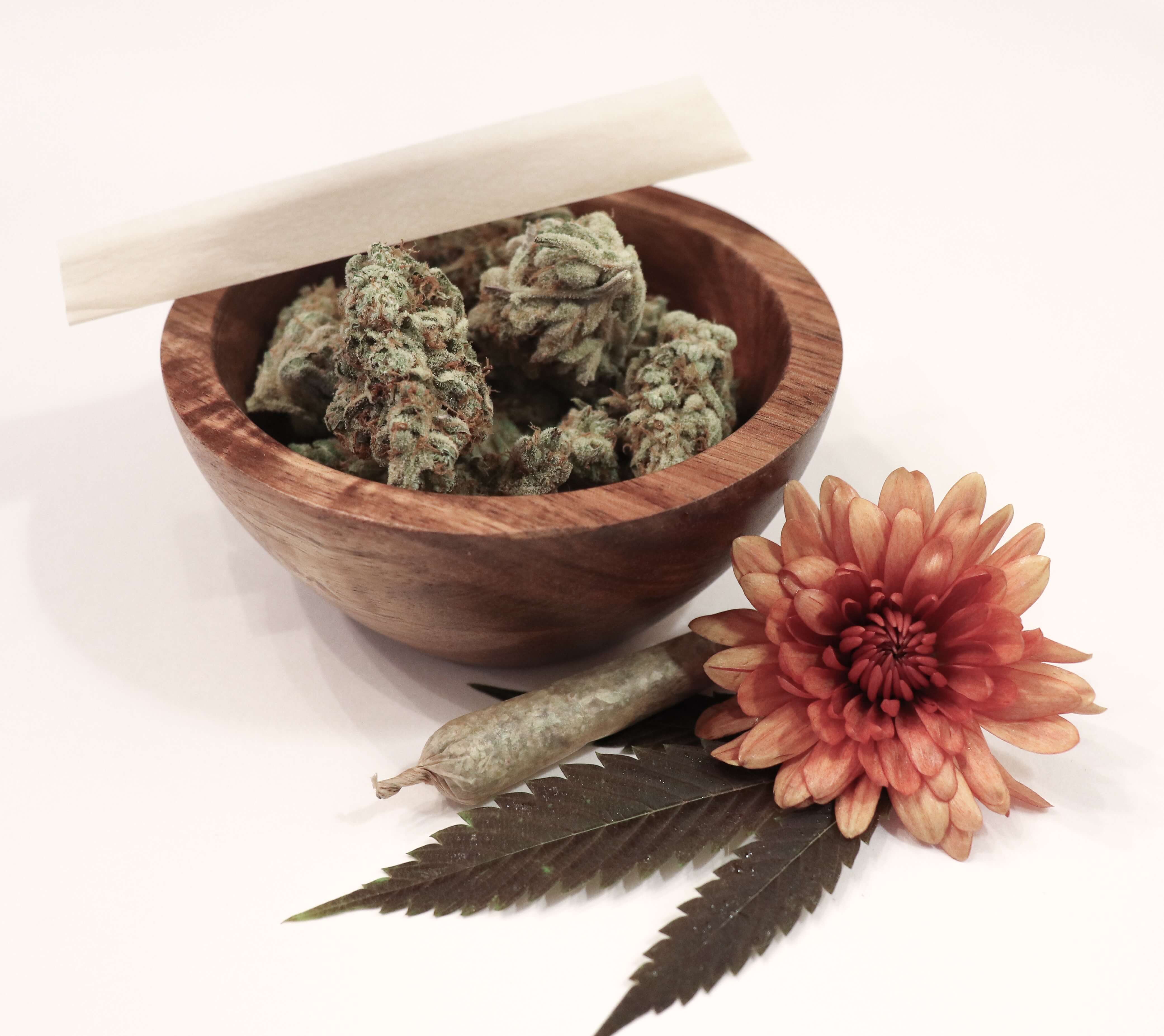 Cannabis Photo Design Marijuana Bud The Future