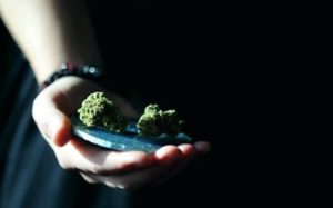 grabbing buds ak 47 buds in one hand