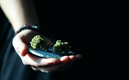 grabbing buds ak 47 buds in one hand