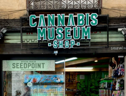 Avis de Cannabis Amsterdam Museum Shop