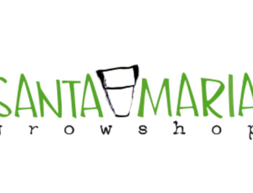 Santa Maria Growshop Review