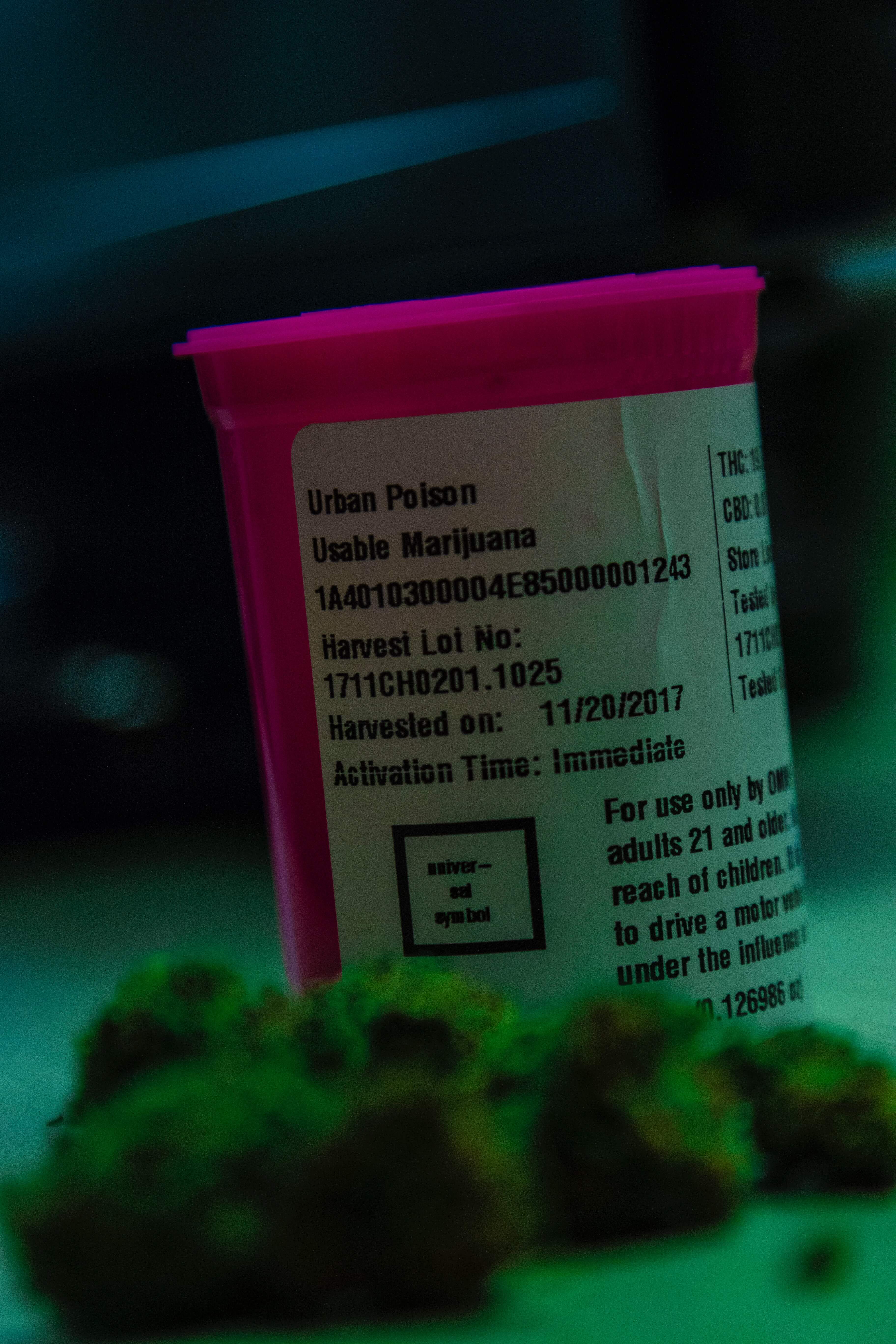 Copia de lexscope-1153352-unsplash Prescription Marijuana