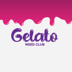 GELATO WEED CLUB