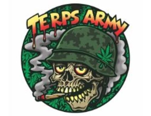 Terps Army – Avis Du Club