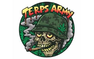 Terps army cannabis club barcelona