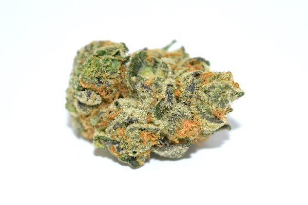 girl-scout-cookies-strain-flower-600×400 Girl Scout Cookies