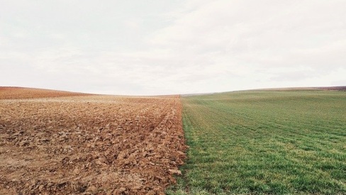 field half with green grass and half with only ground