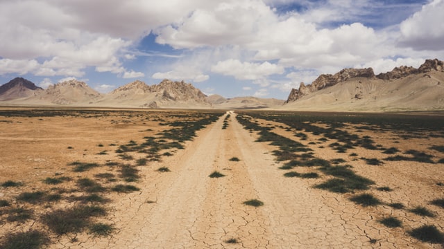 wantto-create-BcnjcRmtQRI-unsplash Afghan weed