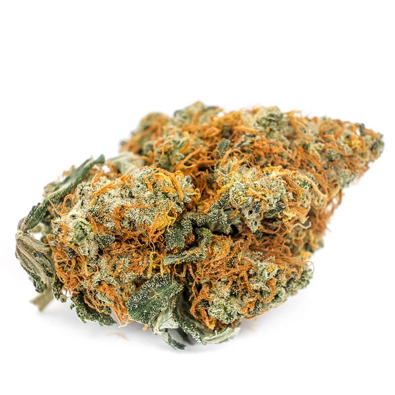 Amnesia-Haze