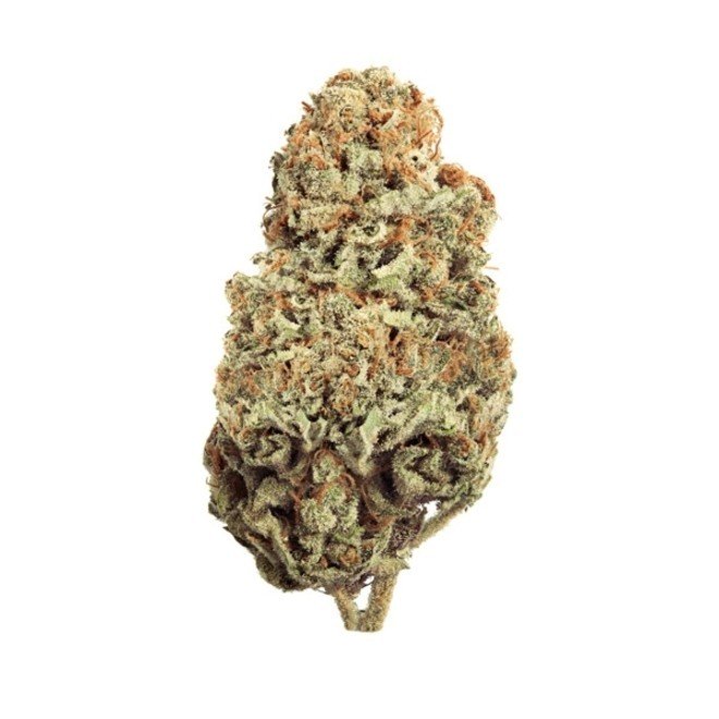 critical-feminizada