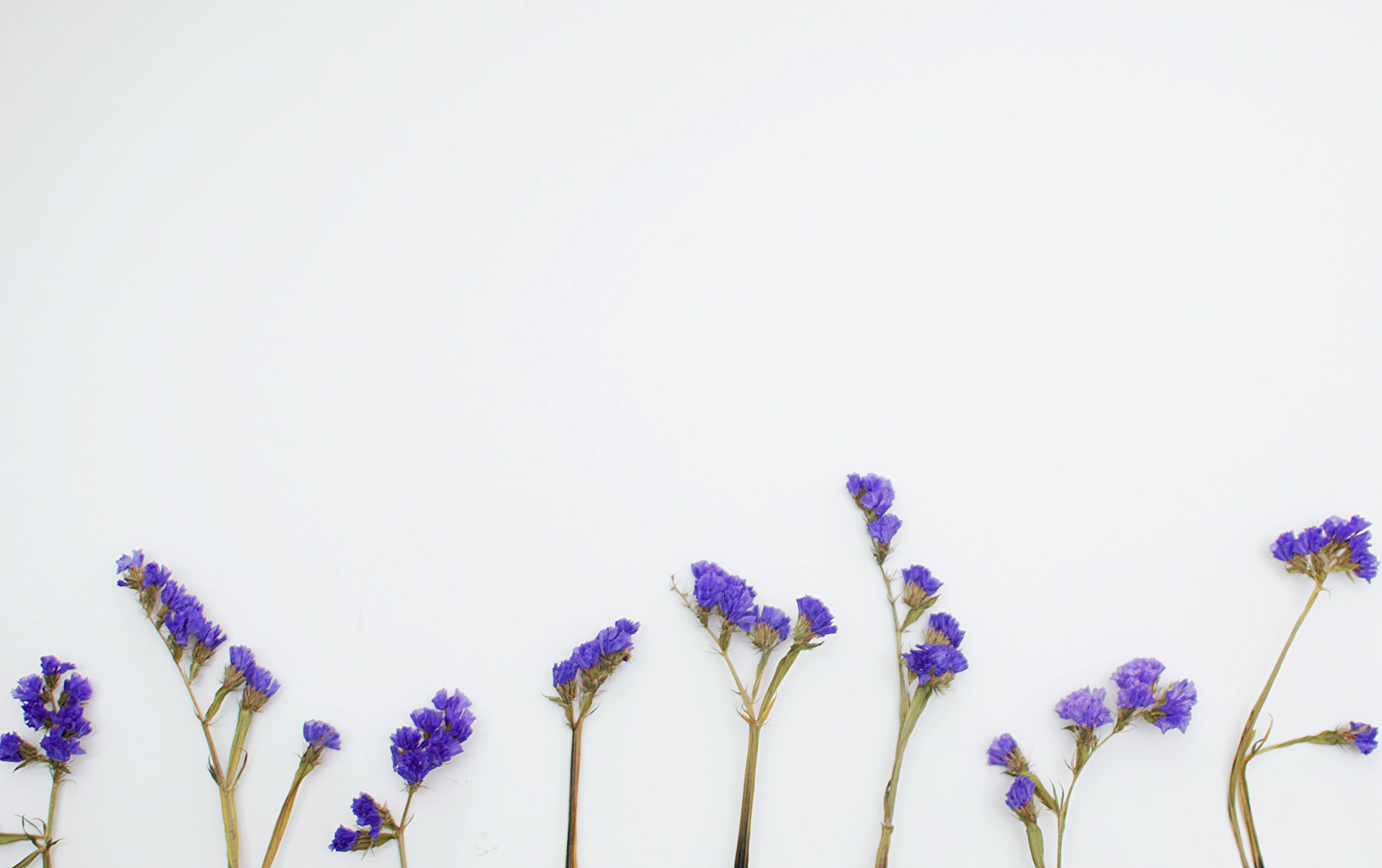 isabella-and-louisa-fischer-nBcOnMoP18g-unsplash