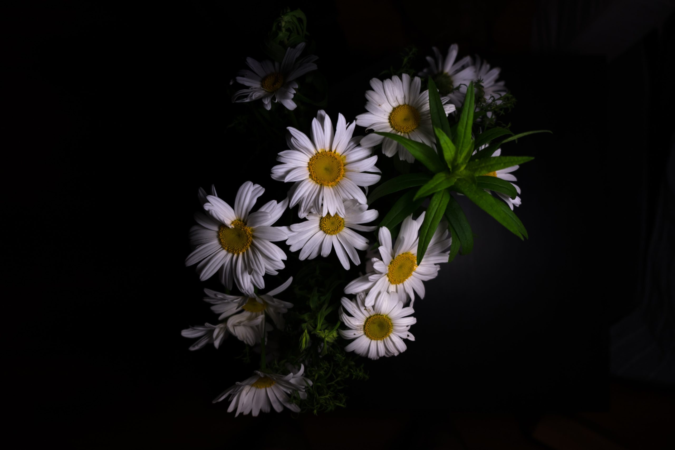 semen-borisov-U25mGbodbIk-unsplash (1)