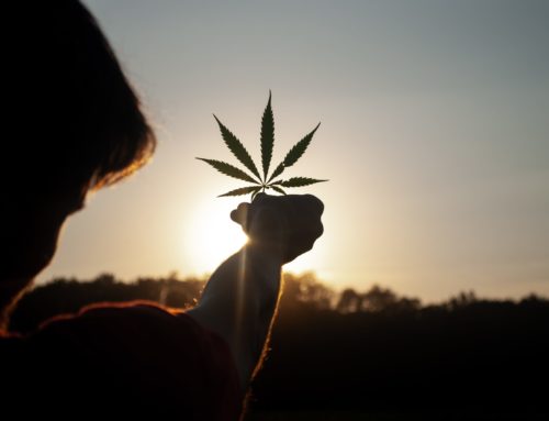 Dans quels pays est légale la weed marijuana