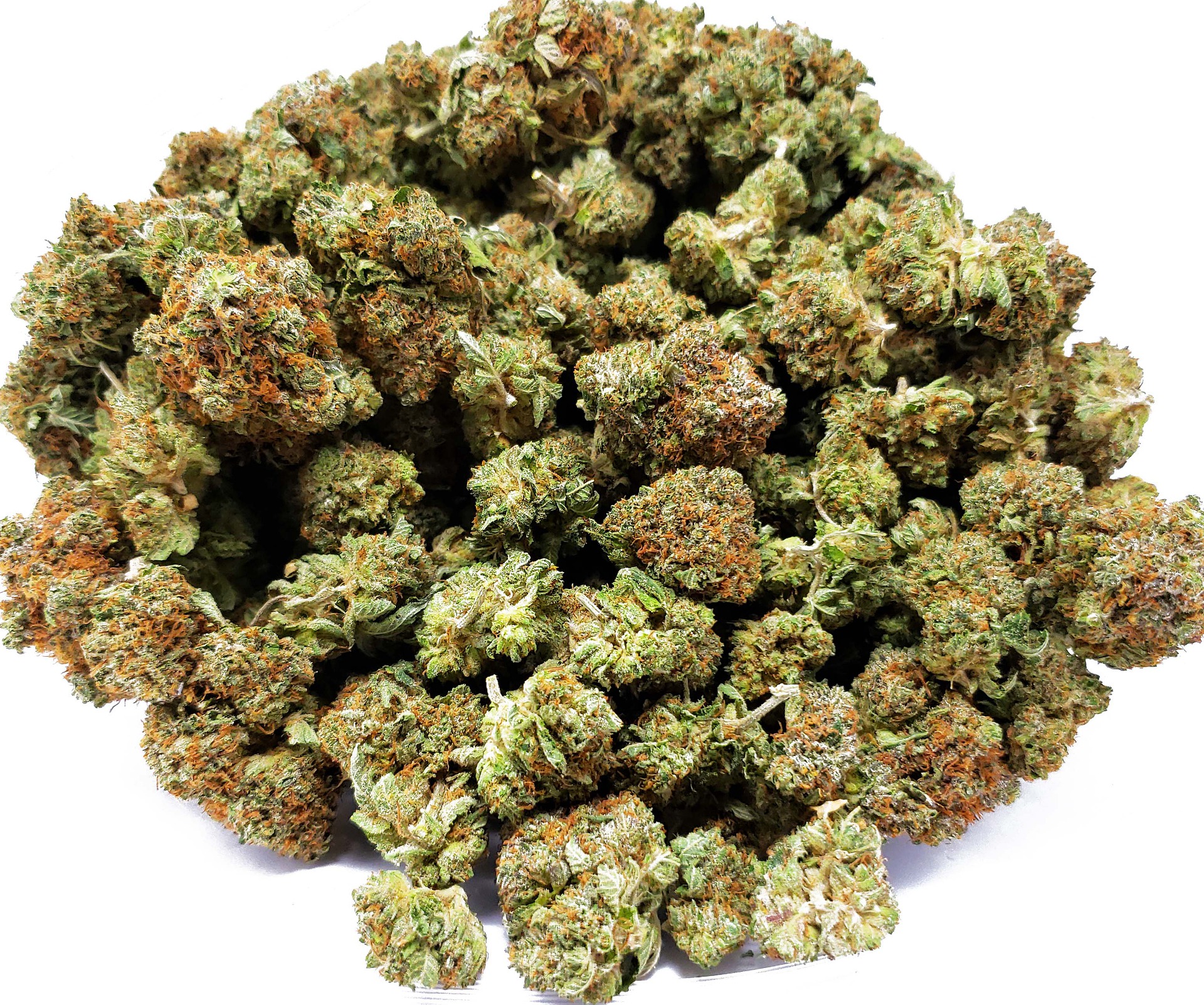 death-tuna-heavy-indica-gas-strain-4946947_1920