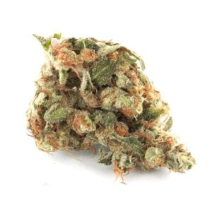 girl-scout-cookies