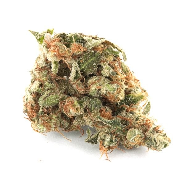 girl-scout-cookies