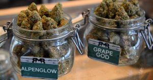 flatten barcelona weed club